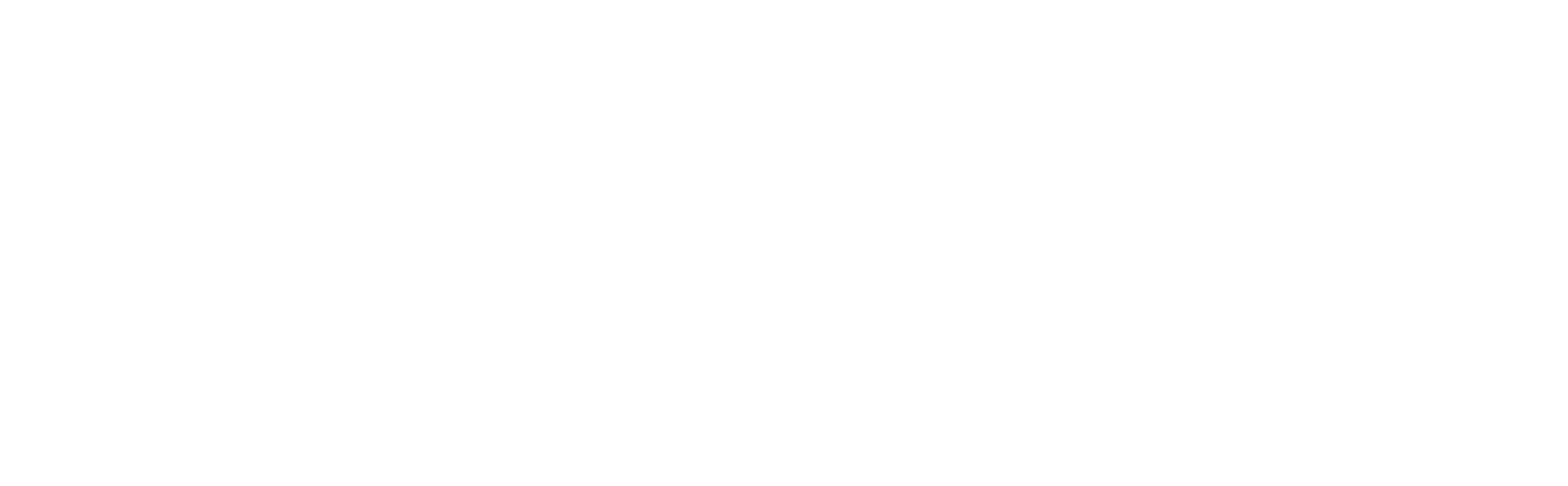 SANAD Group